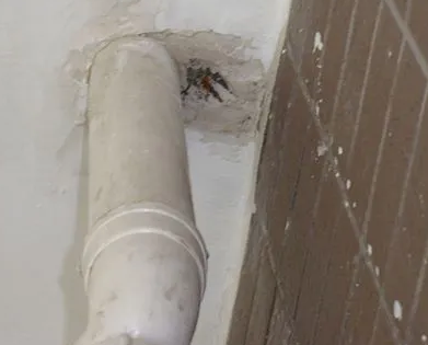 岳阳楼漏水检测哪家好